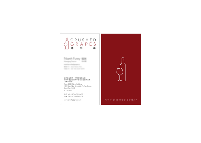 Corporate VI Package Design - logo, stationery, website