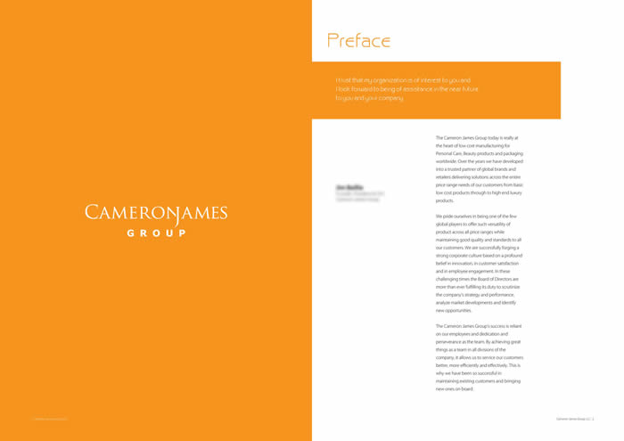 Corporate Visual Identity Design - Brochure & Stationery Package