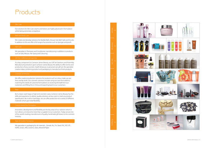 Corporate Visual Identity Design - Brochure & Stationery Package